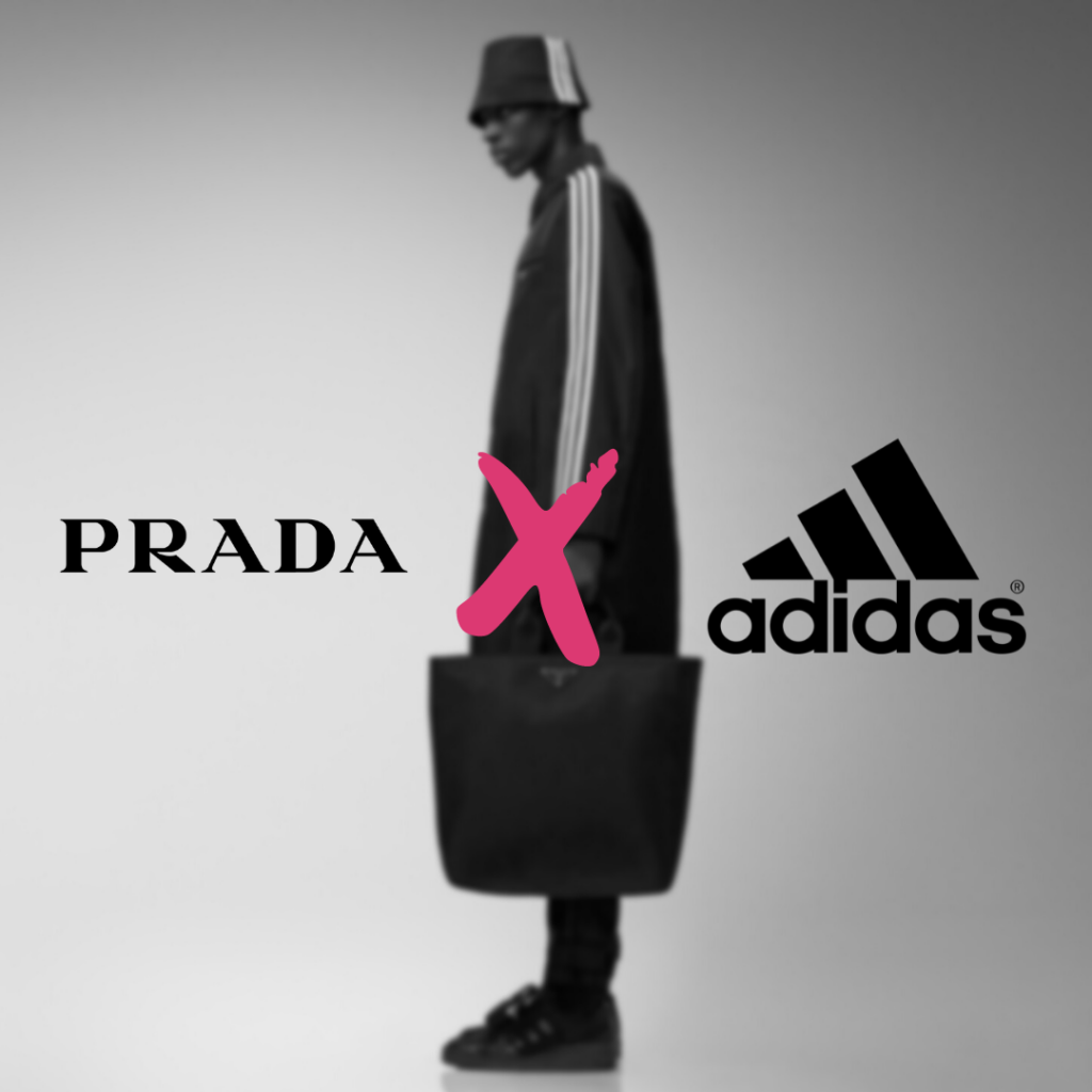 Prada x adidas